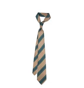 MEN039S TIE IL POLIGLIAMENTO EUROPE E EUMERICI BUSINESS POLIESTER STAMPATO JACQUARD INTERO STANTE LASSARE IL TEMPE8231007