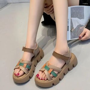 Kleiderschuhe Sandalen für Frauen Römische Damen Open Tobe Sommer 2024 Schuhe Plattform Komfort täglich bequem und elegant H Korea