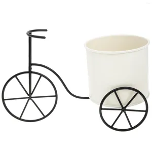 Decorative Flowers Bicycle Stand Metal Flower Bucket Plants Indoor Multi-function Iron Bike Planter Gift Packing Rack