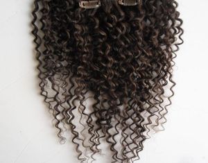 Kinky Curly Clip In Hair Extension 100 Brazilian Human Hair Clip In Extension Remy Hair Clip Ins 9 PiecesSet 100g3752469