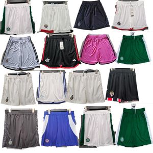 2024 2025 Flamengo Comfortable to wear soccer Shorts DIEGO E.RIBEIRO GABRIEL B. GABI PEDRO VIDAL DE ARRASCAETA GERSON B.HENRIQUE Mengo home away Football pants