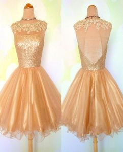 Cute Ball Gown Short Homecoming Dresses Sheer Neck Cap Sleeves Sequins Appliques Tulle Keyhole Back Gold Prom Dresses Real Image2582178