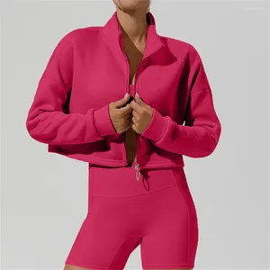 Roupas de ginástica 2024 lã casual ioga solta de ioga longa suéter com zíper com zíper esportes de fitness com capuz para mulheres