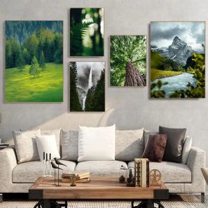 Green Pine Forest Waterfall Misty Mountains Högkvalitativ fotografering Poster Canvas målningar Väggkonstbilder Heminredning