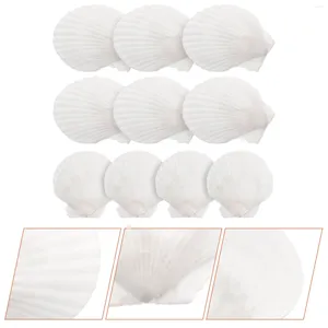 Vases 10 Pcs Natural Shell Decoration Ocean Decorations Beach Seashells Aquarium Set DIY Material Scallops Accessories Seaside