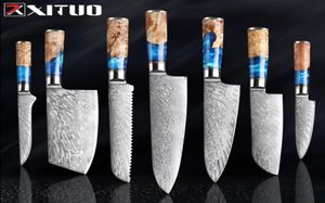 XITUO Kitchen Knivesset Damasco Steel Vg10 Chef Knife Cleaver Panno Panna Resina Blu e Colore Manico in legno Strumento 7976427