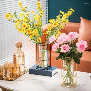 Vases Square Electroplating Golden Borosilicate Glass Vase Home Decoration Living Room Table Flower Arrangement