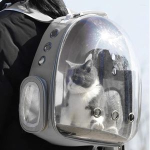 Kattbärare andas husdjursutrymme på väskan påsar ryggsäck resebur för kattunge hund utomhus axel