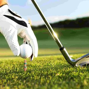 ゴルフティーゴルフネイルゴルフトレーニングアクセサリープラスチックゴルフティーホルダーターフおよびドライビングレンジクローティー