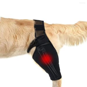 Ubrania dla psa Regulowane nogi Profesjonalne wsparcie oddychające nogi Protektor Udanie zwierzaka