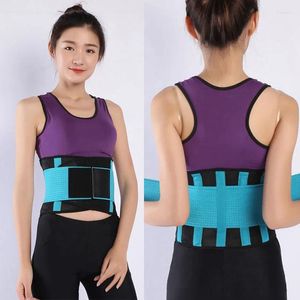 Suporte da cintura Back ajustável Belt Belt Sweat Utility for Sport Gym Fitness Weightlifting Belts