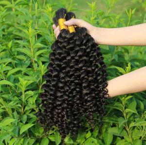 Pretty Curls Human Hair Weave Bulk obearbetat kinky Curly Peruansk mänskliga hårförlängningar i bulk för flätor på ingen fästning3628620