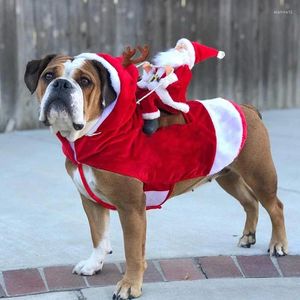 Hundkläder roliga julkläder för små stora husdjurskatt jultomten som rider på en hjort söt jacka kappdräkt hundar katter nyhet outfit