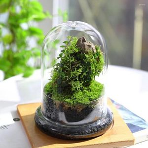 Decorative Figurines Micro Landscape Vase Glass Terrarium Lid Plants Terrariums Moss Bottle Bell Jar Cloche Dome Vertical