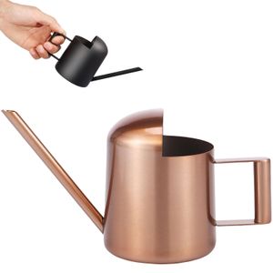 300ml Stainless Steel Watering Can for Indoor Plants Watering Pot with Long Spout Small Garden Watering Can with Handle 240410