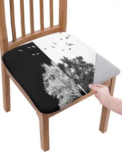 Tampa a cadeira em preto e branco Contraste Natureza Arte Trees elásticos Tampa de assento para Slipcovers Protetor Home Stretch 2pcs