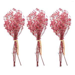 Decorative Flowers Artificial Baby Breath Stems Dried Flower Bouquet White Vase Pampas Grass Small Butterflies For Bouquets