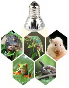 255075W UVAUVB 30 Reptile Lamp Bulb Turtle Basking UV Light Bulbs Heating Lamp Amphibians Lizards Temperature Controller3139955