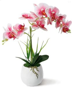 Decorative Flowers Fake Orchid Light Pink Silk Phalaenopsis Real Touch Arrangement Potted With White Ceramic Vase