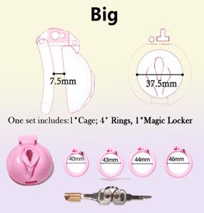 Sissy Pink Pussy Vaginal Cock Cage Small Devices With 4 Penis Rings Bondage Lock Slave SexToy For Man 220822964870