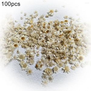 Dekoratif çiçekler diy 100pcs kurutulmuş çiçek başı Chrysantemum el yapımı zanaat tırnak sanat dolum dekor