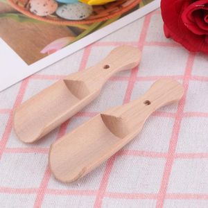 Spoons 2pcs Wooden Bath Salt Scoop Teaspoon Small Milk Powder Scoops (Type C)