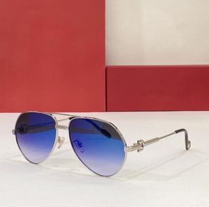 Yeni Lüks Tasarımcı Erkekler İçin Güneş Gözlüğü Erkek Güneş Gözlükleri Vintage Büyük Kedi Göz Raen Çerçeve Kadın Moda Tarzı Gümüş Çerçeve Bl6481272