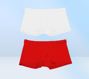 Underbyxor 2021 Summer Ice Silk Män underkläder Sömlösa transparenta boxershorts Ultra Thin Sheer Andningsbara bekväma trosor4880891