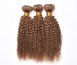 Neue Ankunft brasilianischer Honigblondes menschliches Haar Bundles 27 farbig gekinne lockige menschliche Haarextension billige brasilianische jungfräuliche Haare WEAV4224015