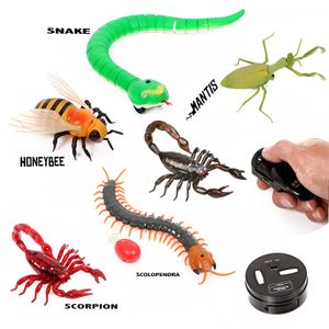 Infraröd fjärrkontroll Animal Insect Toys Simulation Snake Beeelectronic Robot Toy for Cat Dog Halloween Prank Funny Toys 240408