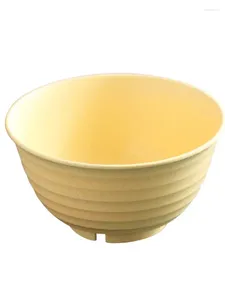 Placas 2d5m Macarrão lamiano coreano Imitação de porcelana de porcelana macarrão com utensílios de sopa de sopa de arroz de mesa