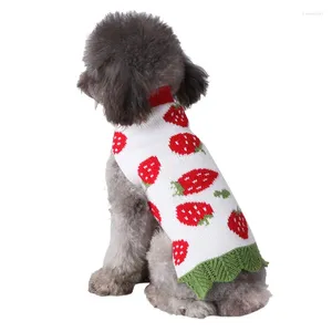 Köpek giysileri oyuncak bahar kış köpek yavrusu çocuk evcil hayvan kostümleri kızlar için küçük büyük jean ceket Noel köpekleri moda sweater