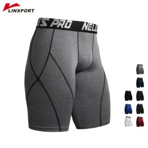 Shorts manliga snabba torra underbyxor som kör leggings vandringstrumpbyxor fitness bottnar träning tröja mjukt träning underkläder jogging shorts