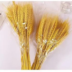 Flores decorativas 50 PCs Flor de ouvido de trigo natural seco para decoração de festa de casamento Decorações de Natal 2024 VENDA PRESENTES Mulheres y