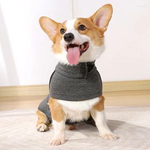 Hundkläder modekläder för små kostym bomulls hoodies accesorios para perros tröja designer vinterjacka ropa perro föremål