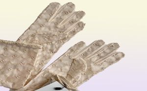 Summer Lace Mesh Gloves Designer Letters Brodery Mittens Ladies Dance Party Wear Match Gloves Födelsedagspresent med Box7317369