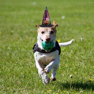 Hundkläder 2 datorer husdjur huvudbonad haloween kostymer hundar halloween kattkläder poodle halloweeen