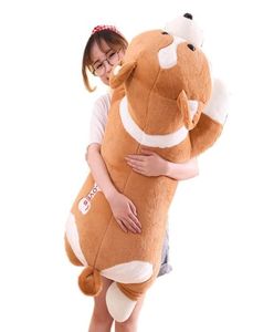 Söt tecknad corgi plysch leksaksgigant fett shiba inu doll hund djur sömnkudde för pojke tjej gåva deco 100 cm 120 cm dy507116958161