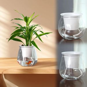 Vases DIY Vase Flower Pot Potted Green Plants Water Uptake Plastics Transparent Double Layer Desktop Ornaments Home Decorations