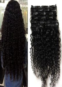 Peruvian clip in hair extensions 100g 100g 8pcs kinky curly african american clip in human hair extensions7017073