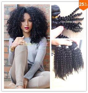 charmigt hårvävning lockigt brasiliansk afro kinky lockiga 3 st buntar obearbetade jerry curl mänskligt jungfru hårväv bohemiskt hår3340293