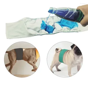 Köpek giyim 5 renk bebek bezi sıhhi fizyolojik pantolon yıkanabilir erkek şort külotu menstruasyon iç çamaşırı kısa bez xs-xl