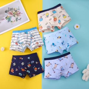 Underkläder Bomullsbarnpojke Underkläder Soft Toddler Cartoon Shorts Trosor Toddler Briefs för spädbarnsbarn Girl tonåring underbundet 2 15 år