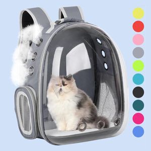 Cat Carriers Torby przewoźnika w klatce Transpack Torba Torba Travel Pet Portable oddychający pies przezroczysty