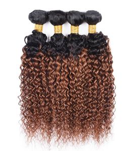 4Pcs Human Hair Ombre Weave Bundles Kinky Curly Brazilian Virgin Hair T 1B 30 Two Tone Color Ombre Medium Auburn Hair Extension2213131