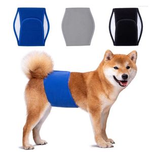 Dog Apparel Bandas de barriga laváveis fraldas machos Alta alça elástica de absorção para cães médios pequenos Summer de primavera externa interior