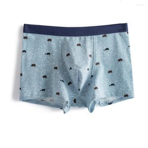 Underpants 2pcs/Lot Men Boxer Boxer lussuoso in cotone ultra sottile liscio liscio l-3xl biancheria intima blu grigio