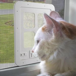 Kattbärare husdjursdörr 4 väg säkerhet för skärmfönster klaff grindar kontrollerbar switch tunnel