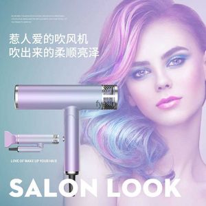 Electric Hair Dryer New Foldable Blue Light Negative Ion Household Dormitory Hotel High Power H240412