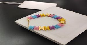 Железские цвета Candy Colors Resin Women039S Браслет 2022 Новый дизайн простые дамы красочные колье дизайнерские ювелирные изделия6718595